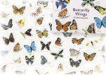 Butterfly Wings: A Matching Game