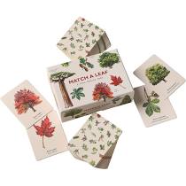 Match a Leaf: A Tree Memory Game