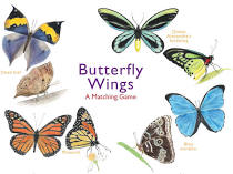 Butterfly Wings: A Matching Game