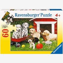 Jigsaw - Puppy Party  60 pc